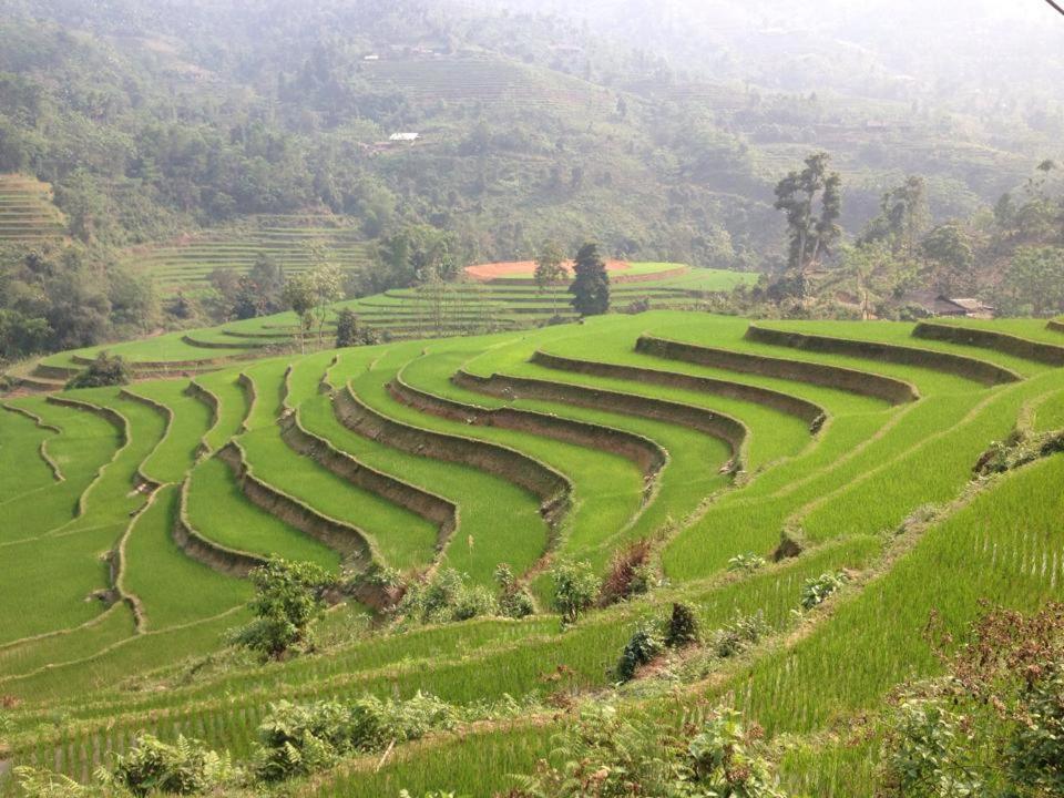 Ngan Nga Bac Ha Hotel 외부 사진